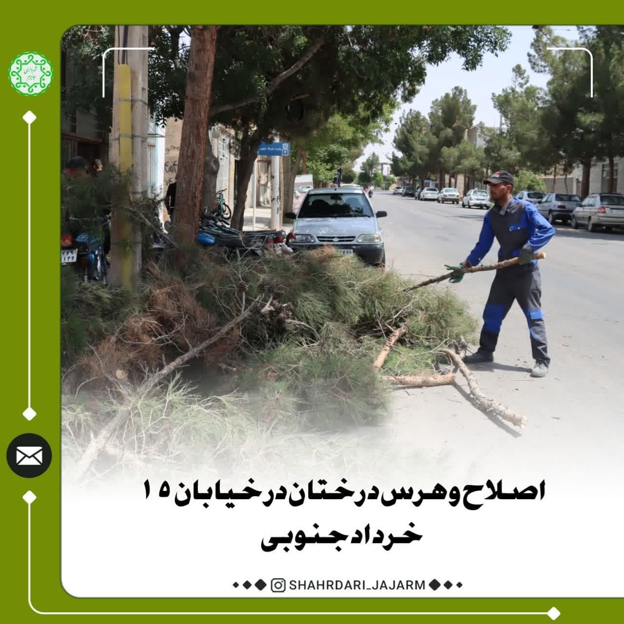 اصلاح و هرس درختان در خیابان ۱۵ خرداد جنوبی